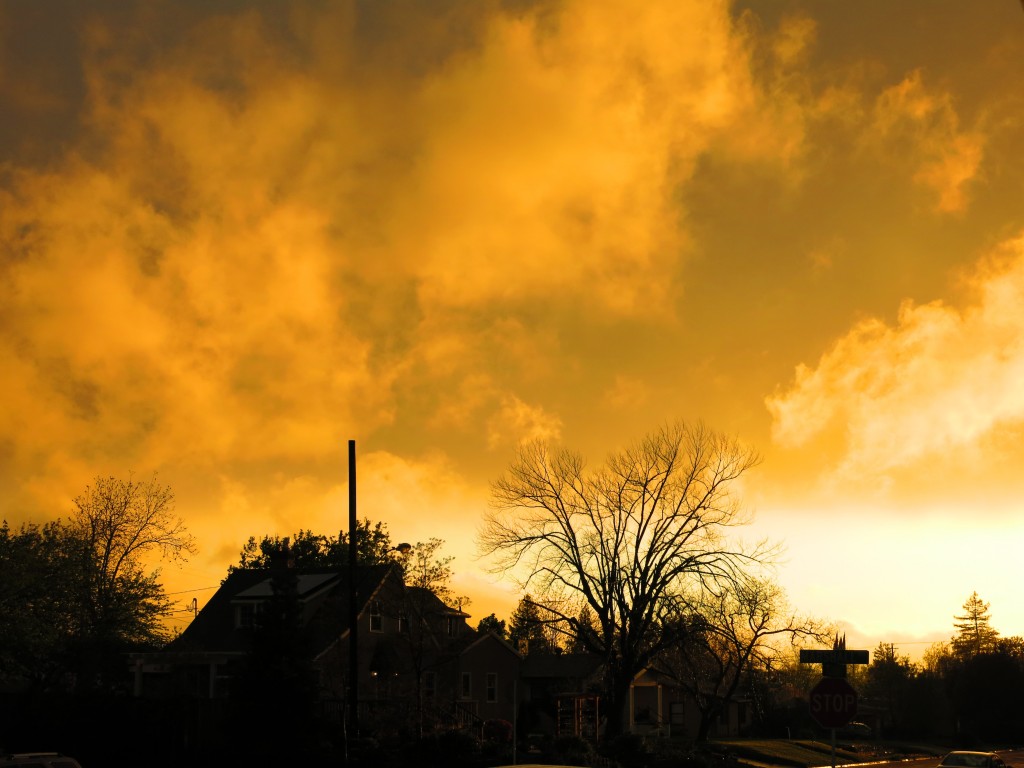 Sunset during a break in the storm. March 31, 2014