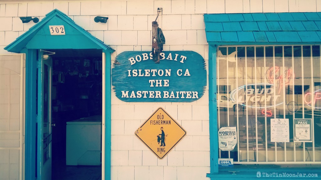 Isleton | Rio Vista hills | Delta Bike Tour | A blog series exploring a two day road bike tour around the Sacramento Delta. Includes route maps and pics. JamieThornton.com #deltabiketour