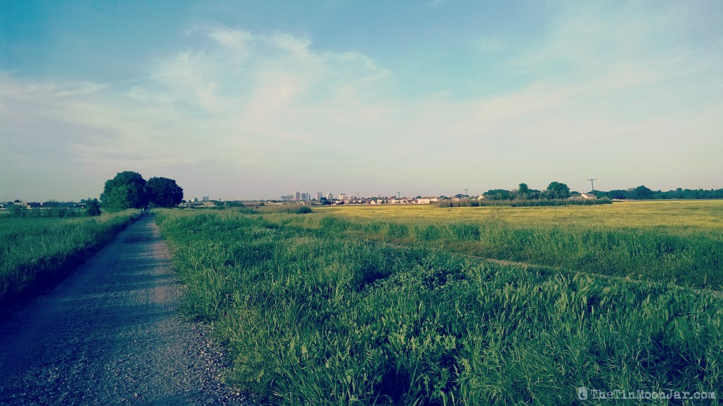 Maximize this image to see the Downtown Sacramento skyline in the distance.
