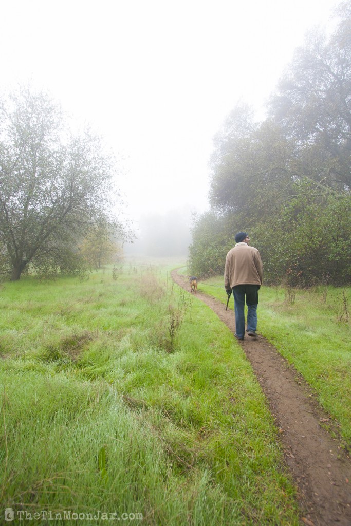 The importance of weather and setting in fiction | A Feast of Weeds | JamieThornton.com #fog