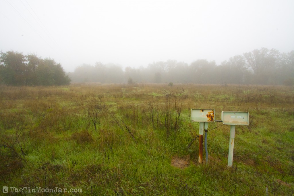 The importance of weather and setting in fiction | A Feast of Weeds | JamieThornton.com #fog